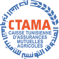 ASSURANCES CTAMA